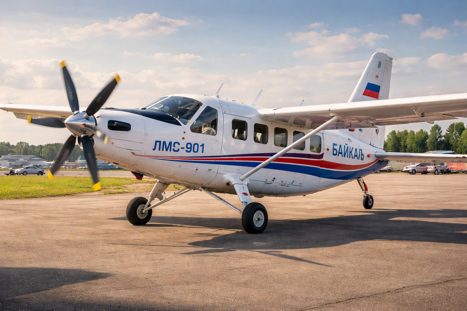самолет ЛМС-901